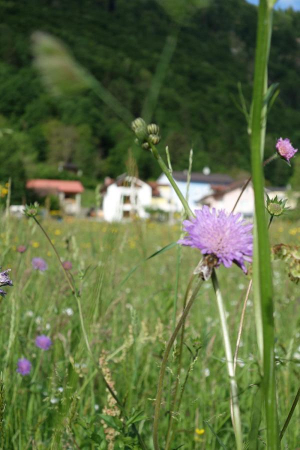Hisa Lenart Apartment Tolmin Exterior photo